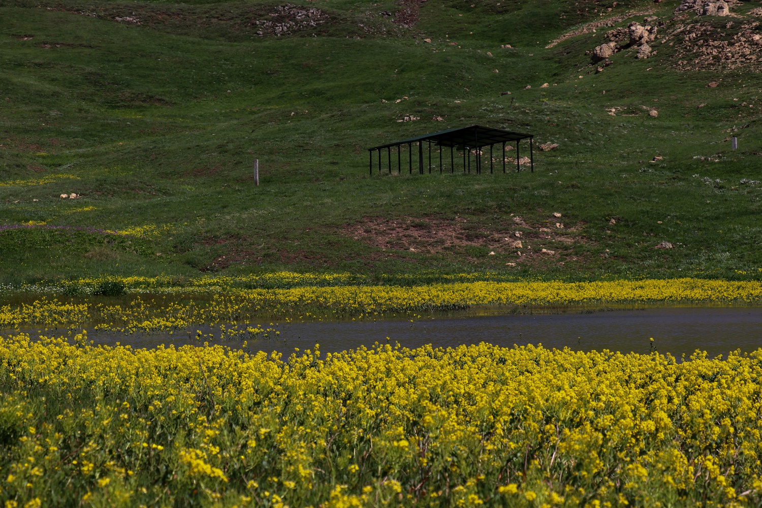 Adını efsaneden alan ‘Dipsiz göl’ büyülüyor   12