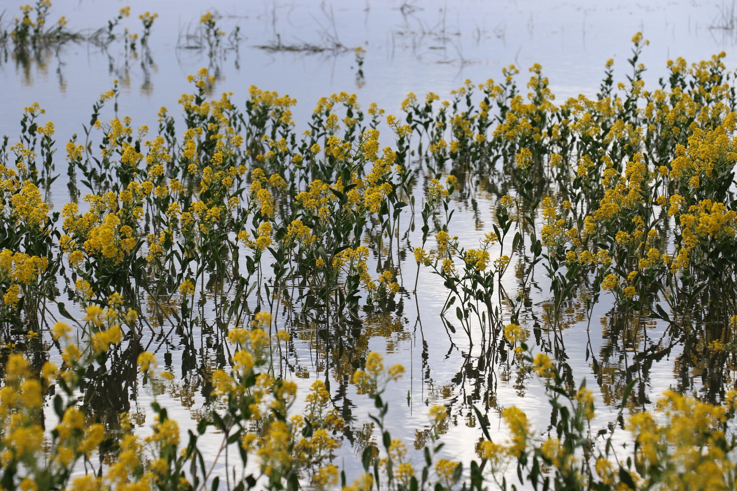 Adını efsaneden alan ‘Dipsiz göl’ büyülüyor   20