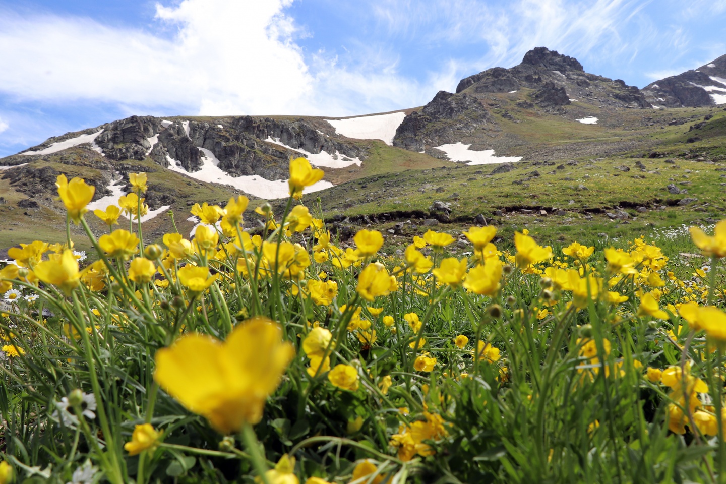 Yılın en sıradışı iftar programı Gümüşhane’den 4