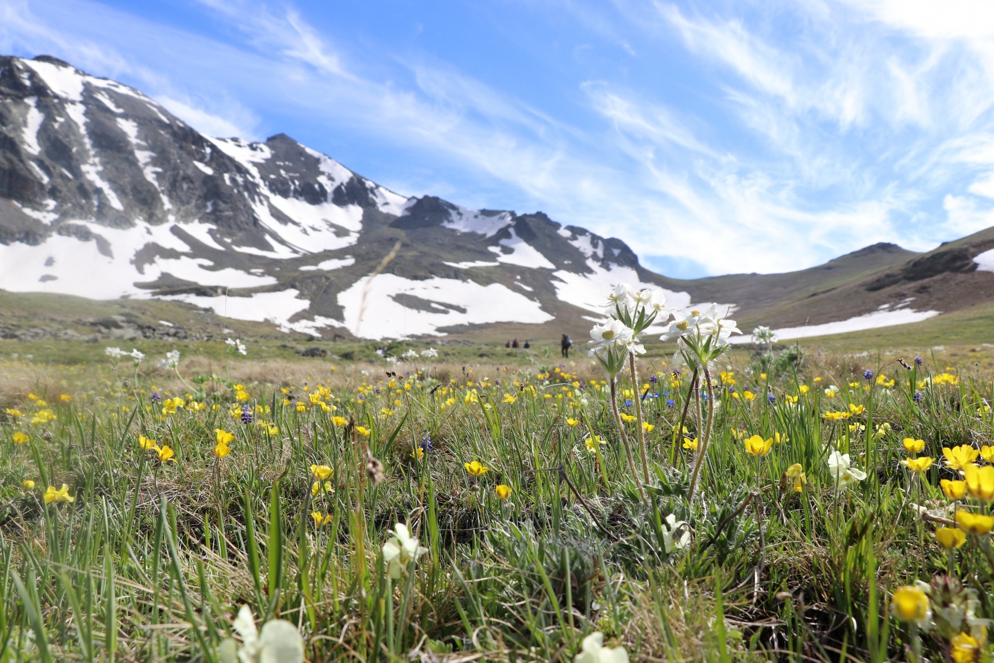 Yılın en sıradışı iftar programı Gümüşhane’den 37