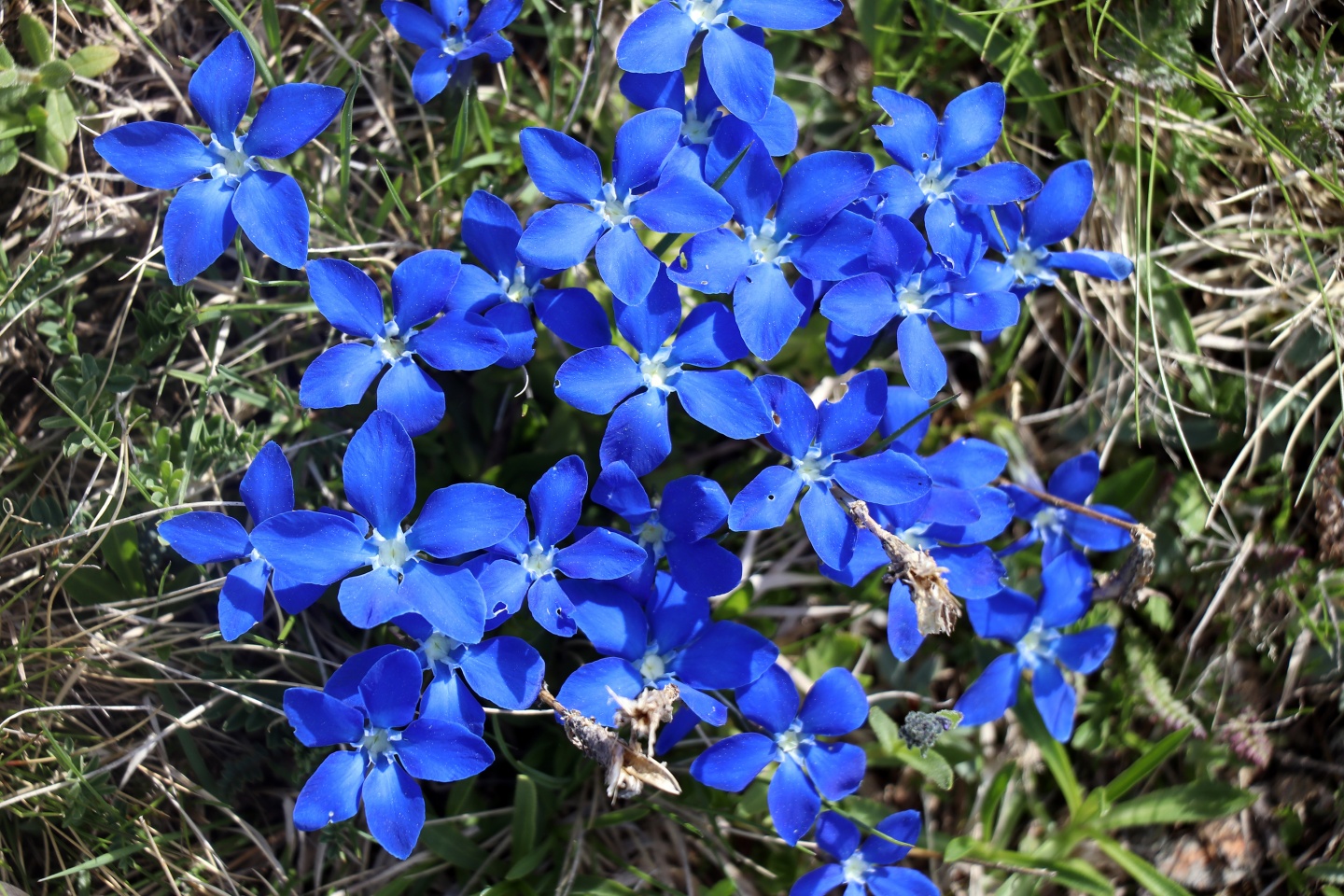 Yılın en sıradışı iftar programı Gümüşhane’den 61
