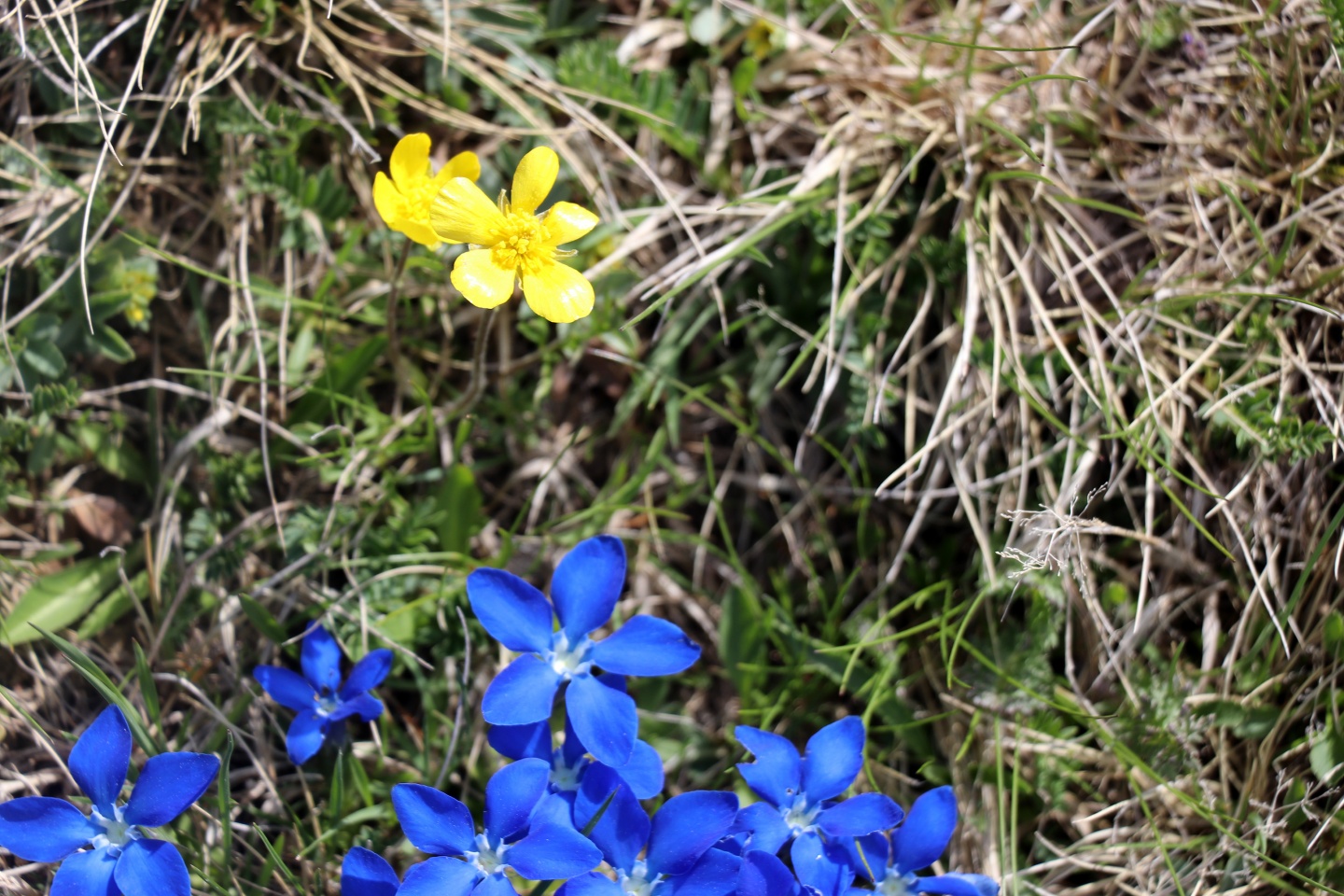 Yılın en sıradışı iftar programı Gümüşhane’den 24