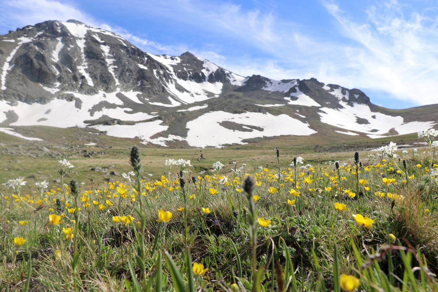 Yılın en sıradışı iftar programı Gümüşhane’den 47
