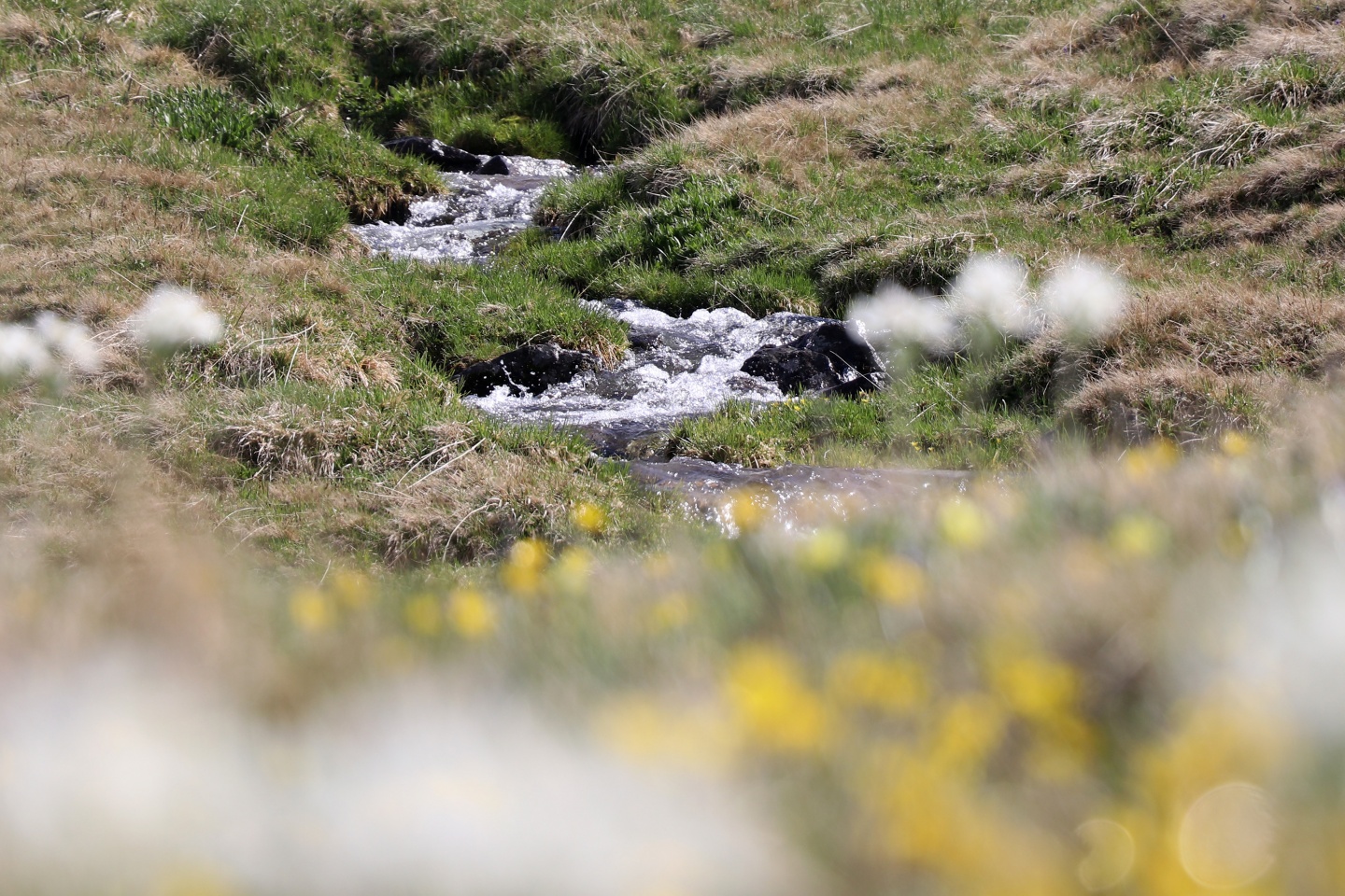 Yılın en sıradışı iftar programı Gümüşhane’den 43