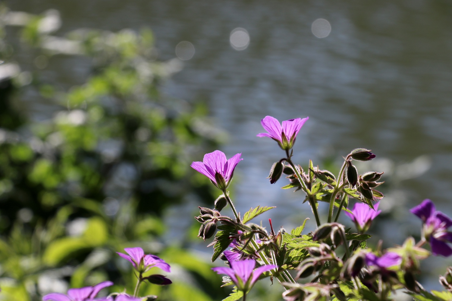 Gümüşhaneli dağcılar 2 bin 24 metrede iftar yaptı 7