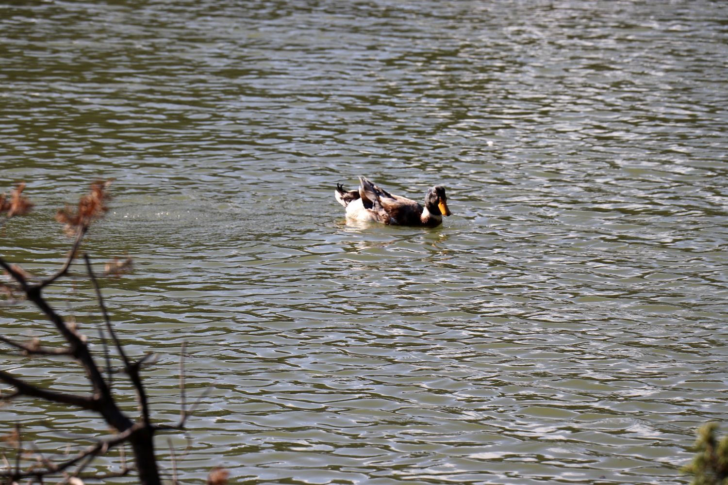 Gümüşhaneli dağcılar 2 bin 24 metrede iftar yaptı 8