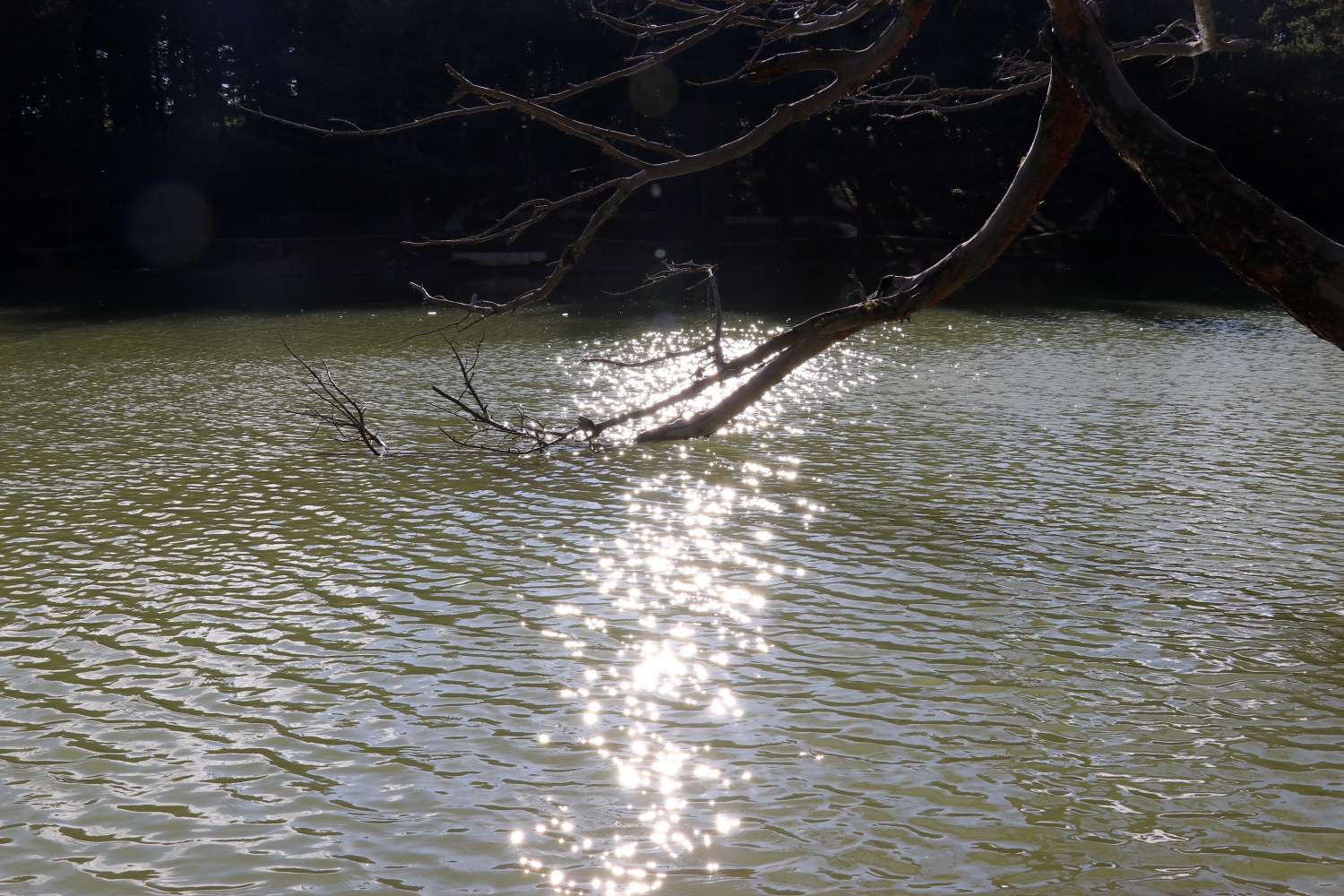 Gümüşhaneli dağcılar 2 bin 24 metrede iftar yaptı 10