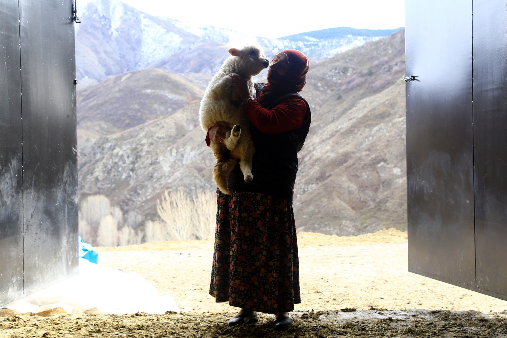 Gümüşhaneli kadınlar bileziklerini bozdurup hayvancılığa yatırım yaptı 6