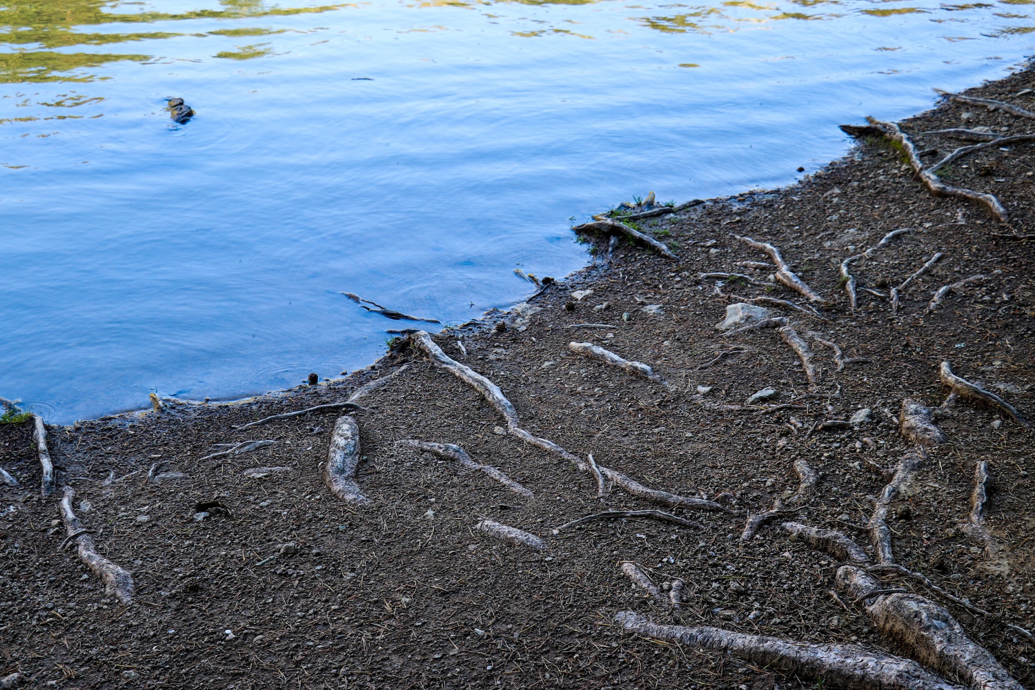 Gümüşhaneli dağcılar 2 bin 24 metrede iftar yaptı 15