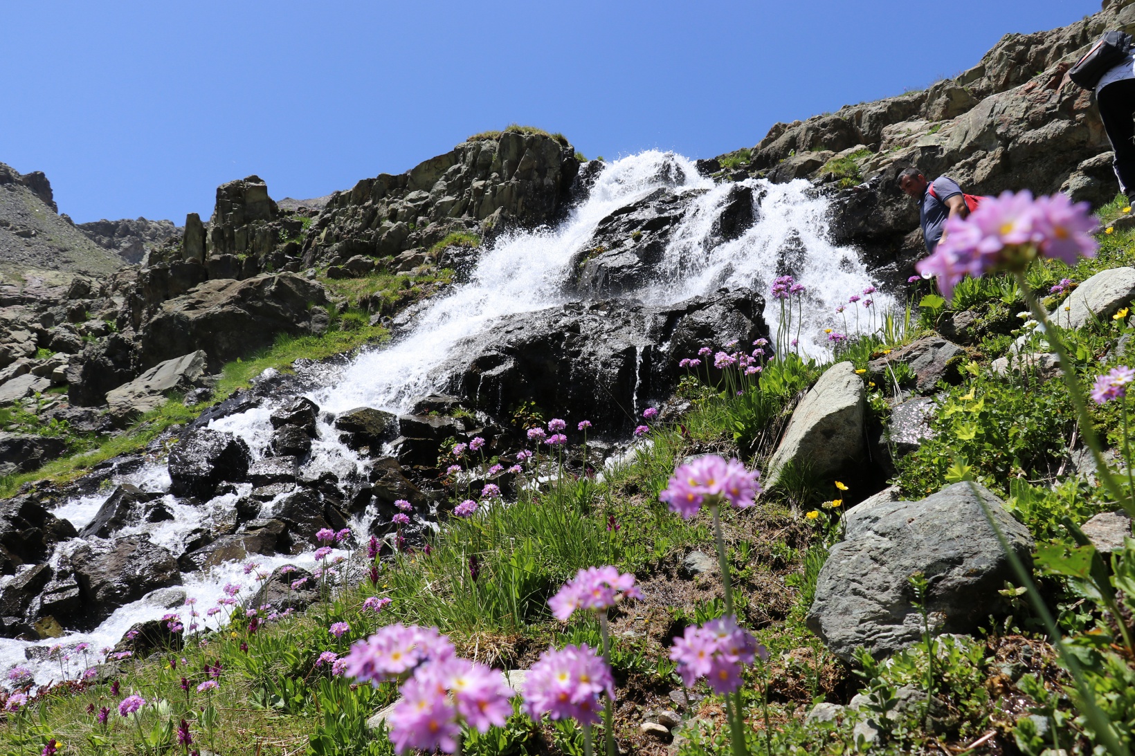 Artabel Gölleri'nde 15 Temmuz şehitleri anısına unutulmaz doğa yürüyüşü 26
