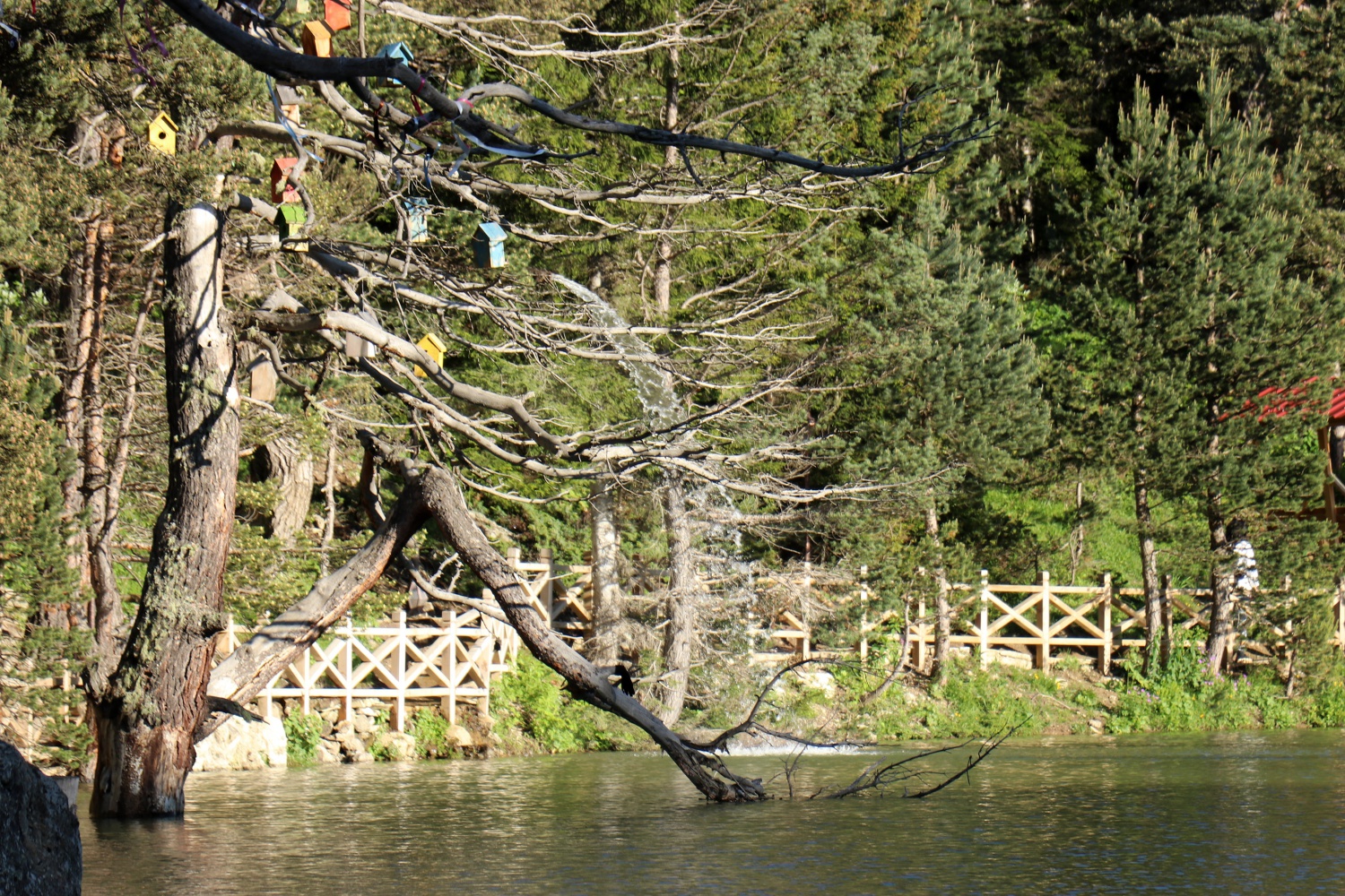 Gümüşhaneli dağcılar 2 bin 24 metrede iftar yaptı 17