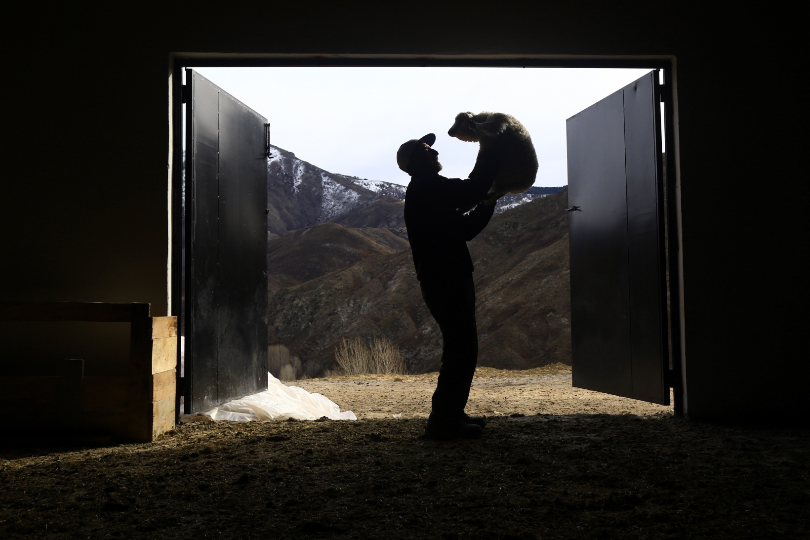 Gümüşhaneli kadınlar bileziklerini bozdurup hayvancılığa yatırım yaptı 5