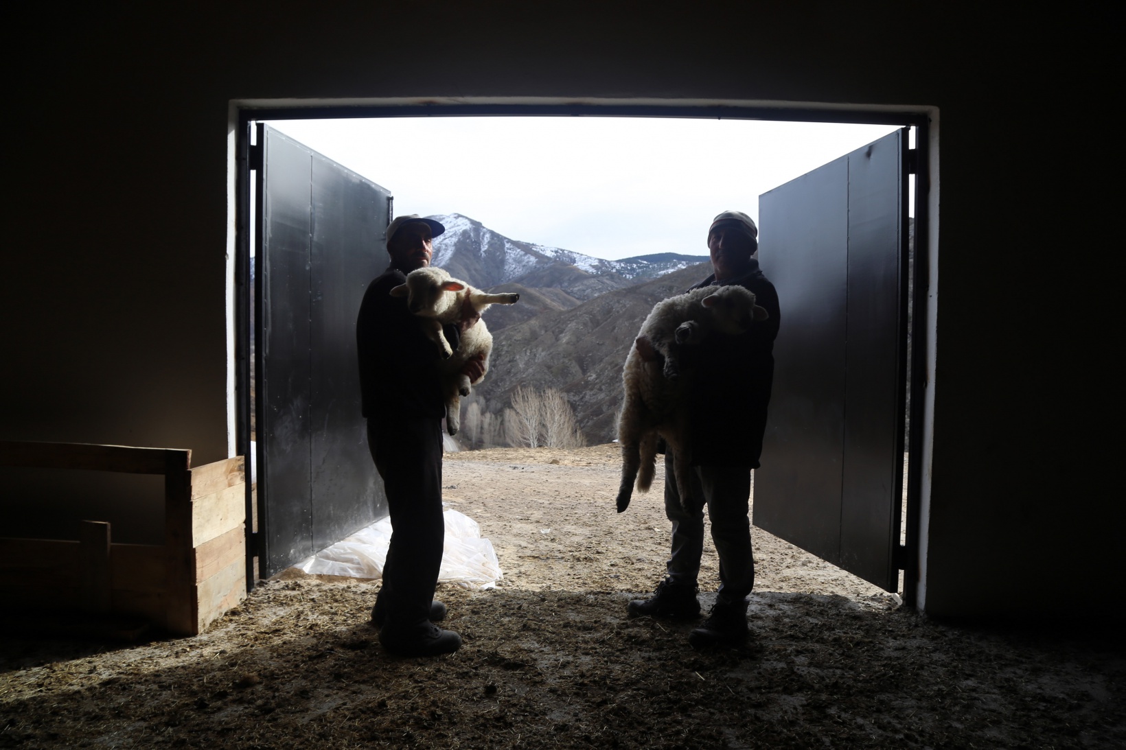 Gümüşhaneli kadınlar bileziklerini bozdurup hayvancılığa yatırım yaptı 7