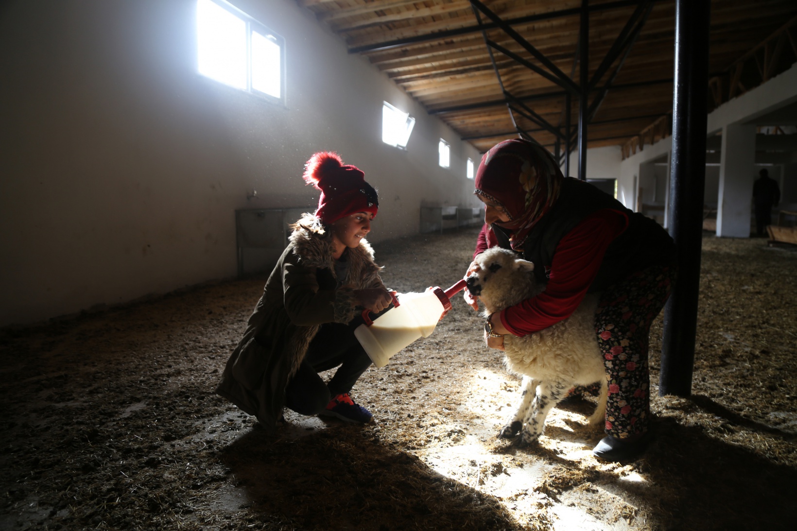 Gümüşhaneli kadınlar bileziklerini bozdurup hayvancılığa yatırım yaptı 11