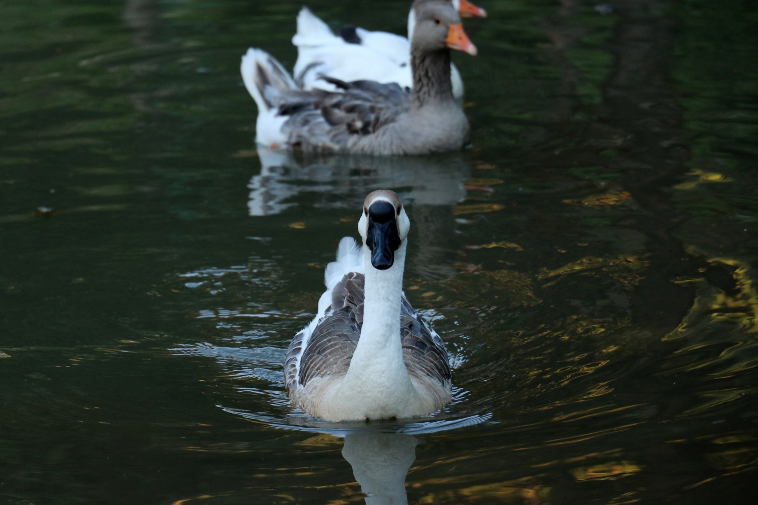 Gümüşhaneli dağcılar 2 bin 24 metrede iftar yaptı 25