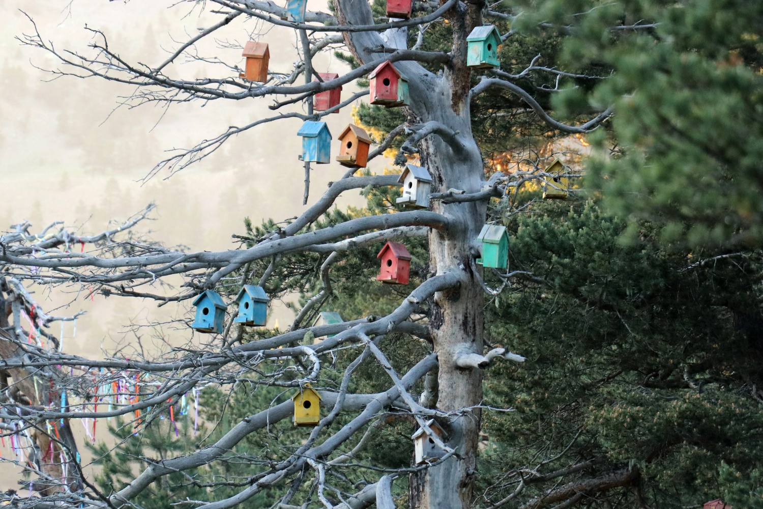 Gümüşhaneli dağcılar 2 bin 24 metrede iftar yaptı 26