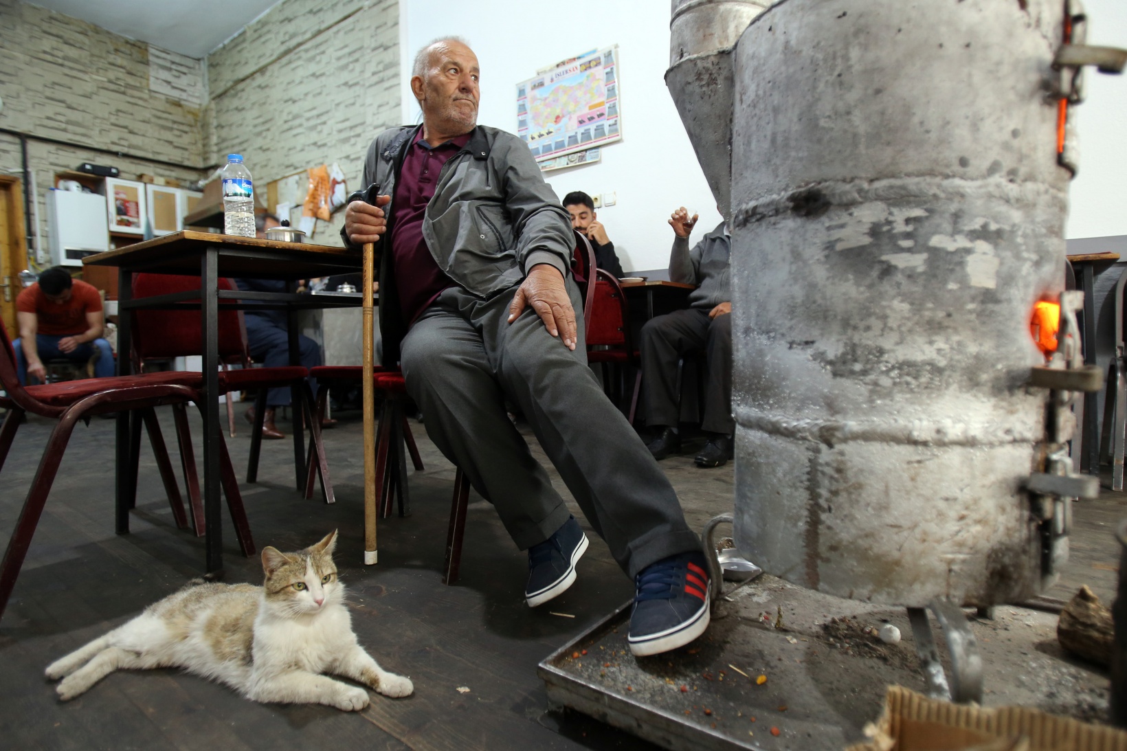 Çay ocağını yuva belleyen kediler müşterilerin maskotu oldu 5