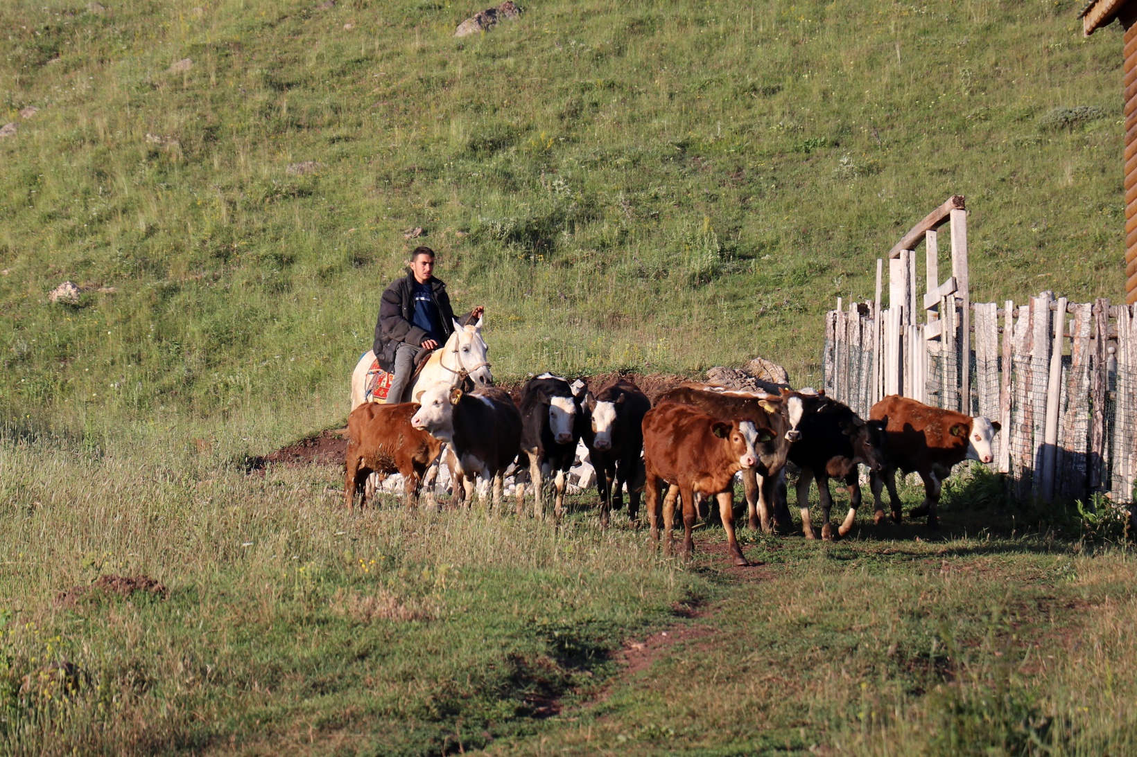 Gümüşhane'nin yüksek kesimlerinde sobalar sönmek bilmiyor 5