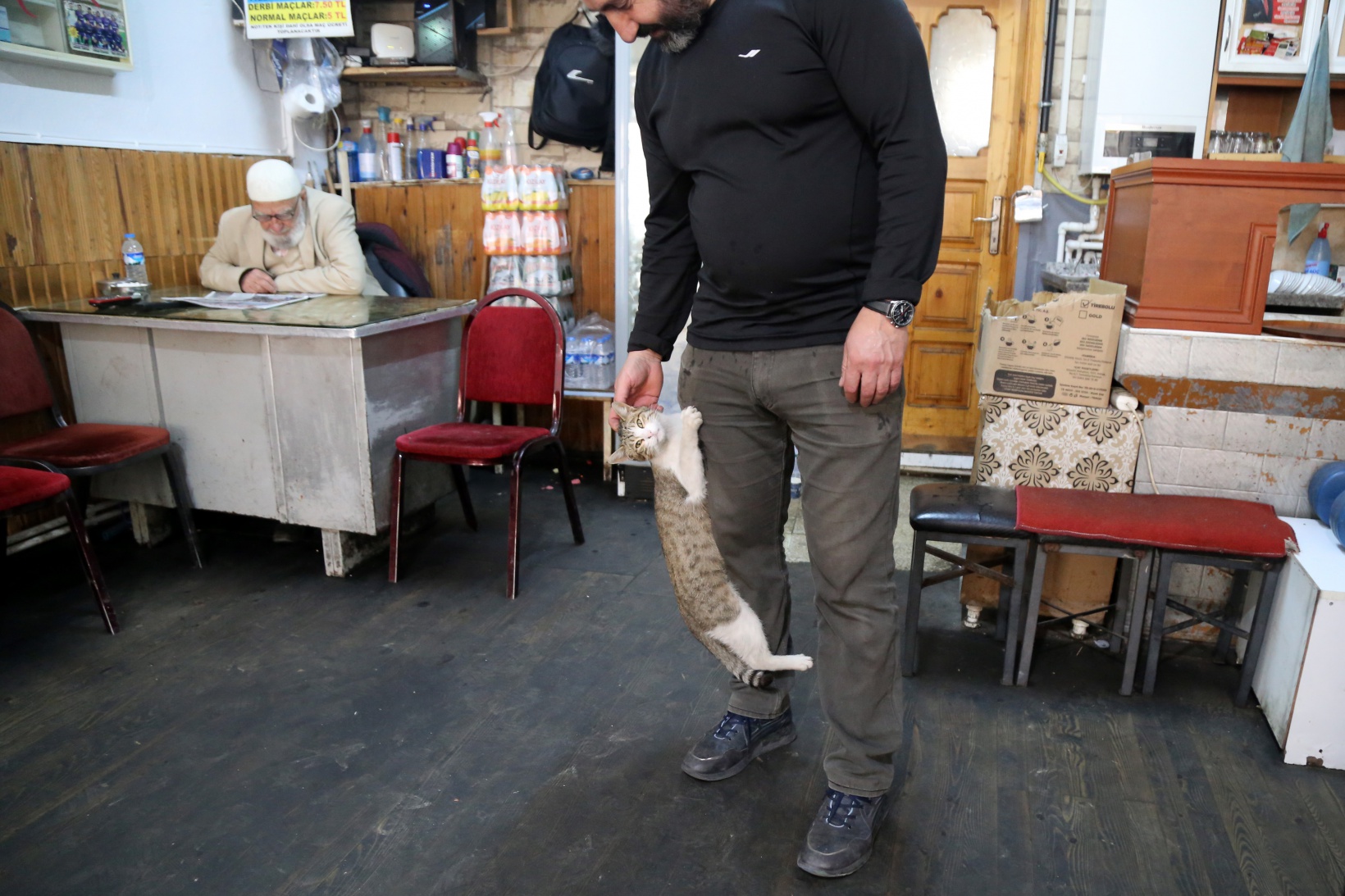 Çay ocağını yuva belleyen kediler müşterilerin maskotu oldu 6