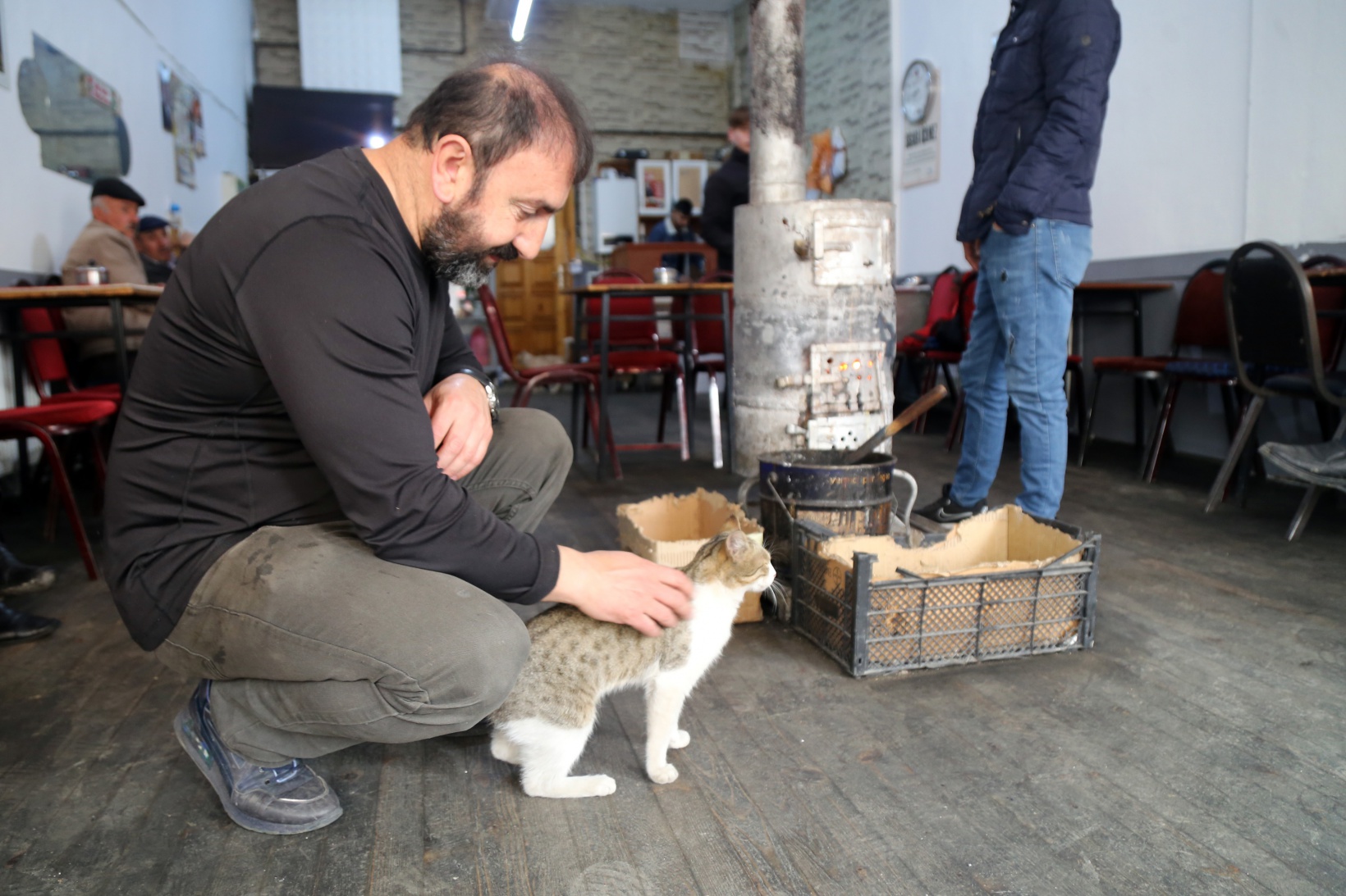 Çay ocağını yuva belleyen kediler müşterilerin maskotu oldu 3