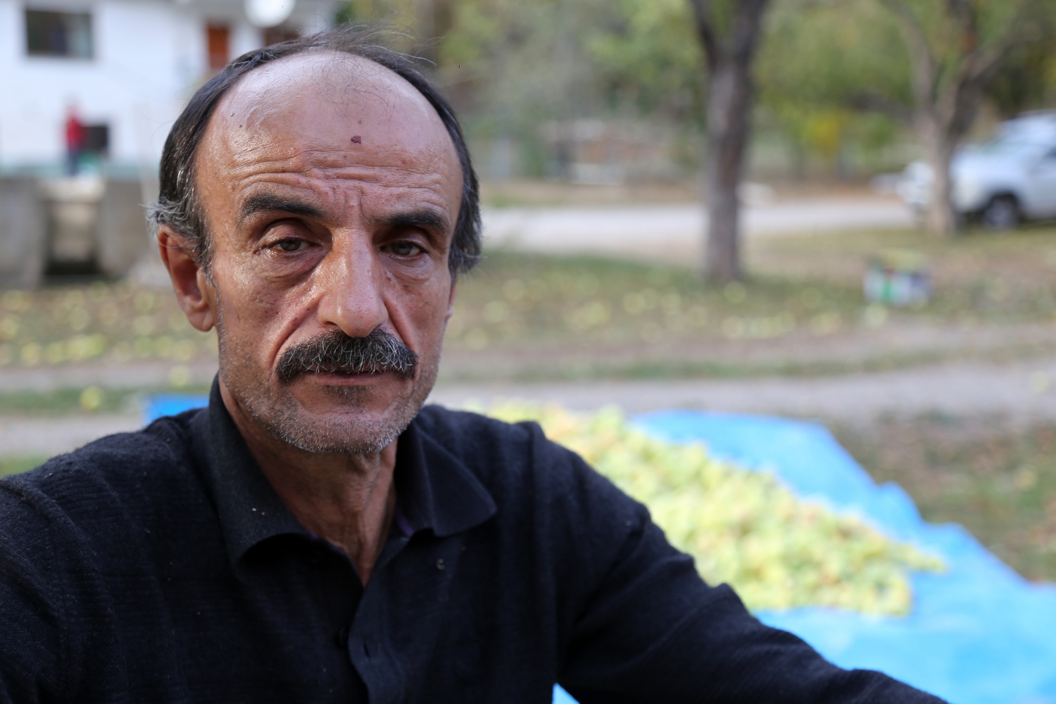 Adı da tadı da özel olan 'Göbek' elmasında hasat zamanı 26