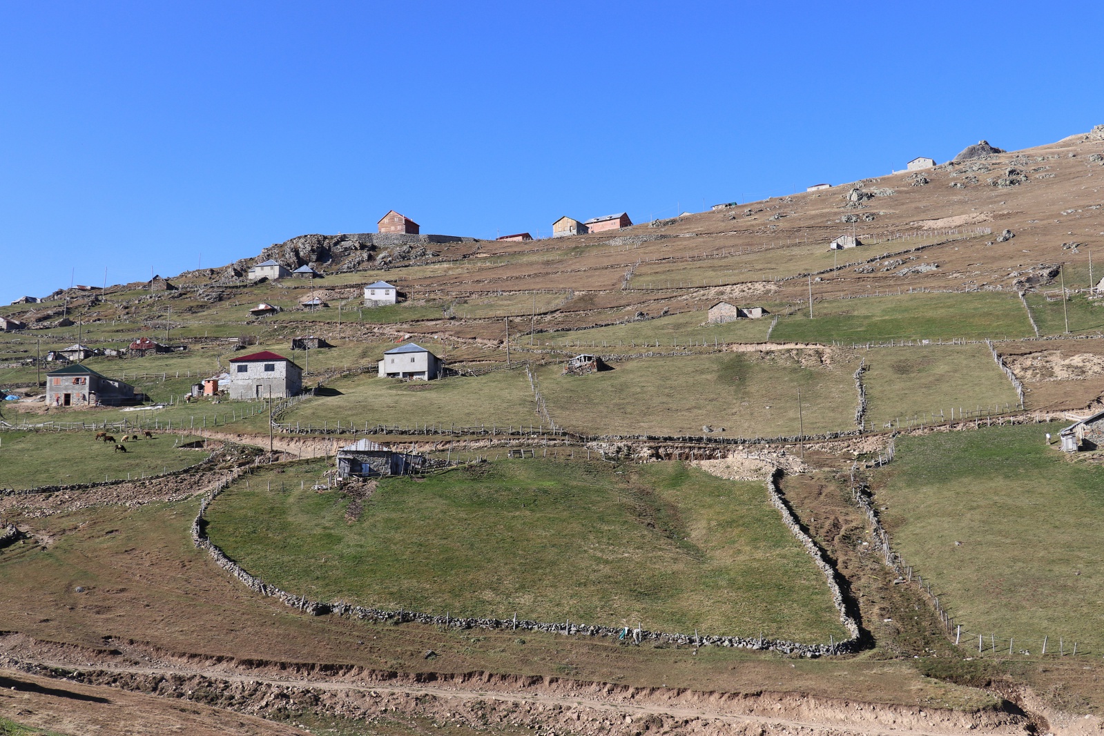 12 bin yıllık Buzul Göl olduğu iddia edilmişti; su birikintisi çıktı 20
