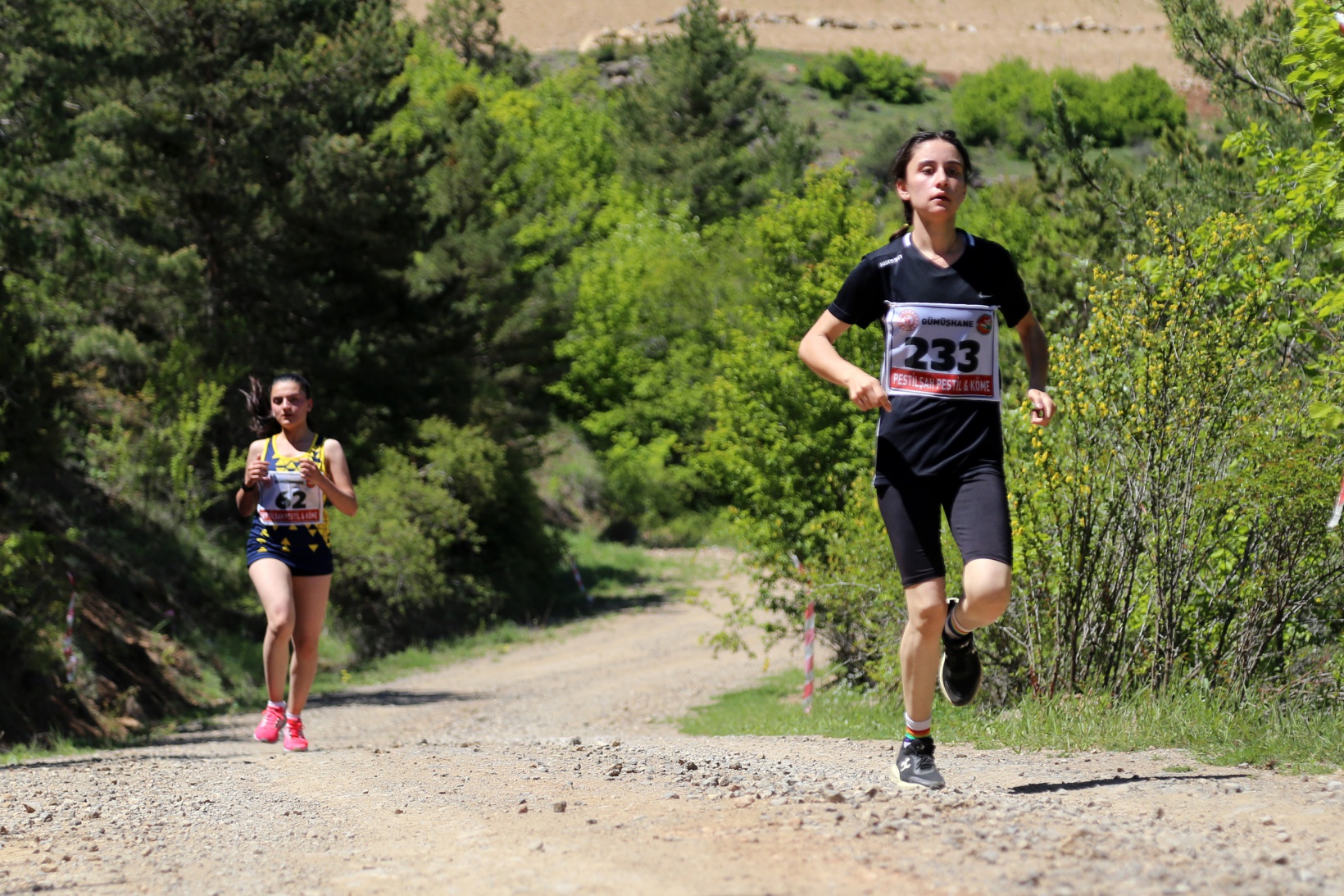 Türkiye Dağ Koşusu Şampiyonası Gümüşhane etabı sona erdi 19