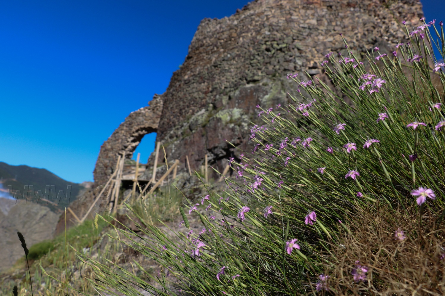 Canca kalesinden tarih fışkırıyor 15