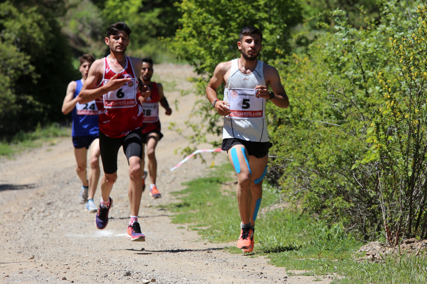 Türkiye Dağ Koşusu Şampiyonası Gümüşhane etabı sona erdi 18