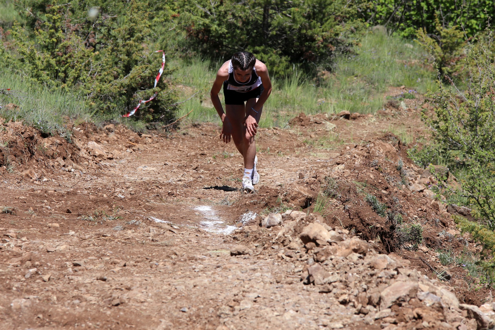 Türkiye Dağ Koşusu Şampiyonası Gümüşhane etabı sona erdi 23