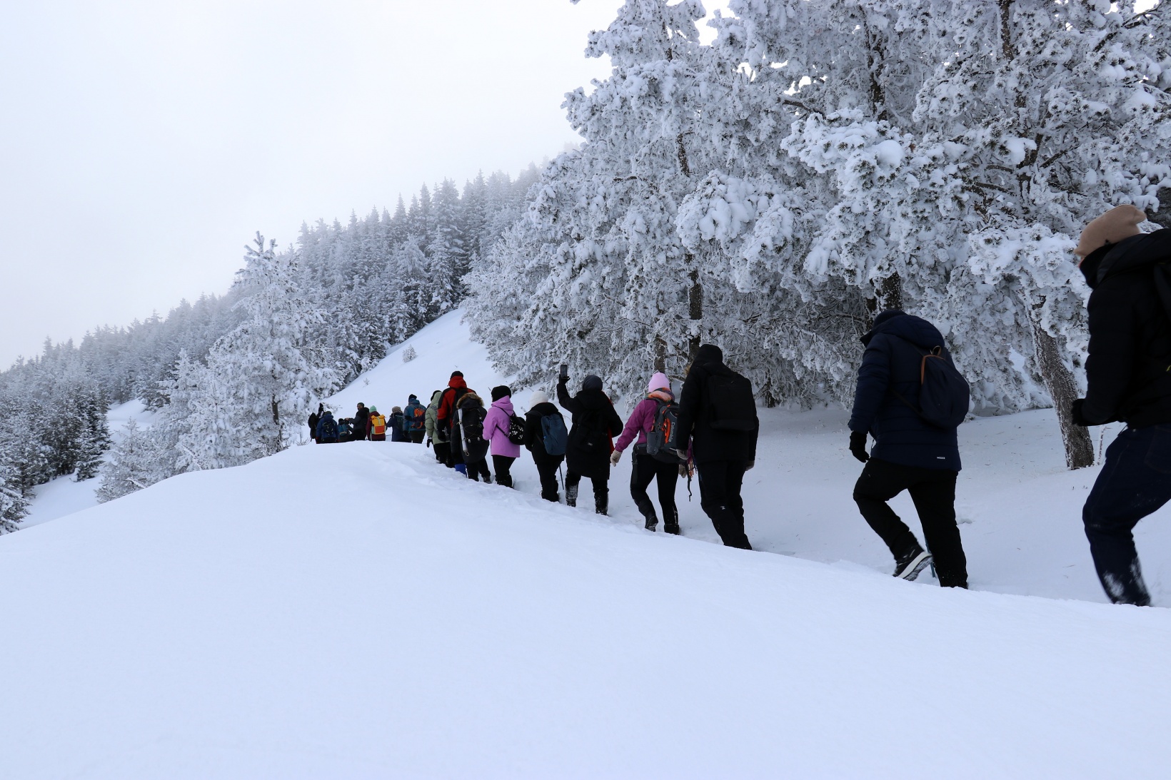 Gümüşhane'nin zirvelerinde kutupları aratmayan yürüyüş 62