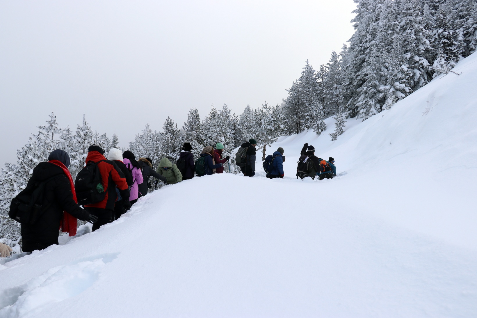Gümüşhane'nin zirvelerinde kutupları aratmayan yürüyüş 20