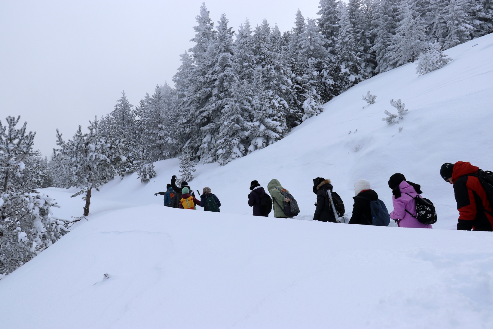 Gümüşhane'nin zirvelerinde kutupları aratmayan yürüyüş 63