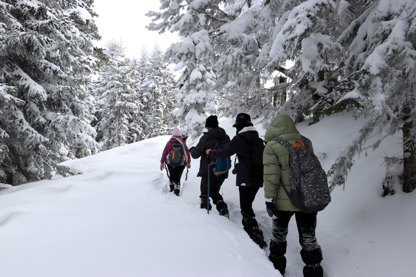 Gümüşhane'nin zirvelerinde kutupları aratmayan yürüyüş 28