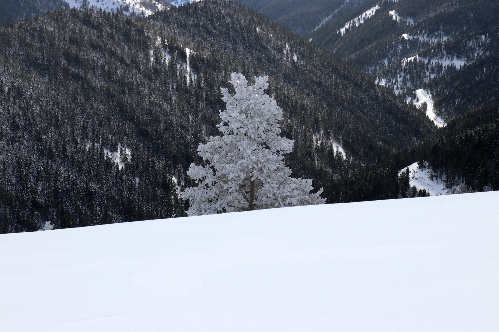 Gümüşhane'nin zirvelerinde kutupları aratmayan yürüyüş 31