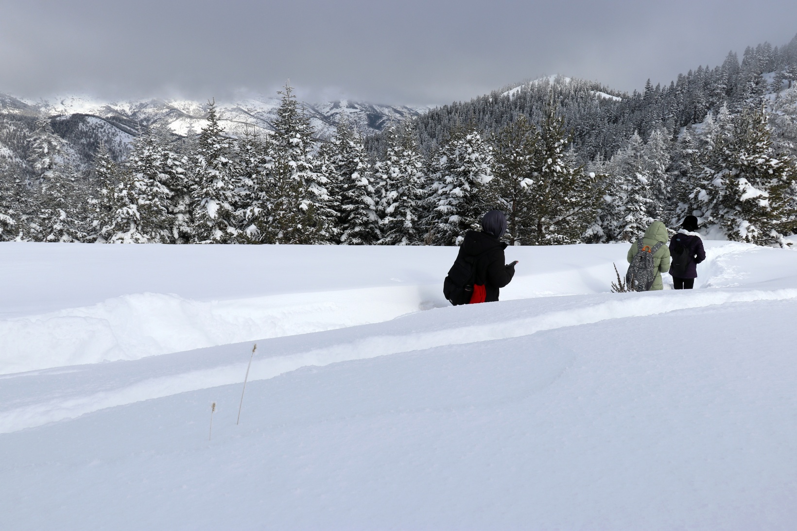 Gümüşhane'nin zirvelerinde kutupları aratmayan yürüyüş 24