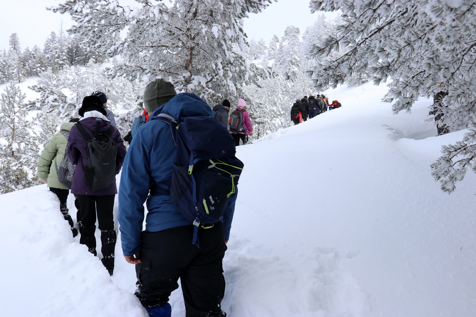 Gümüşhane'nin zirvelerinde kutupları aratmayan yürüyüş 25