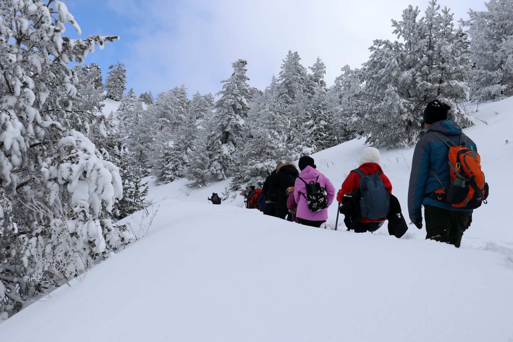 Gümüşhane'nin zirvelerinde kutupları aratmayan yürüyüş 54
