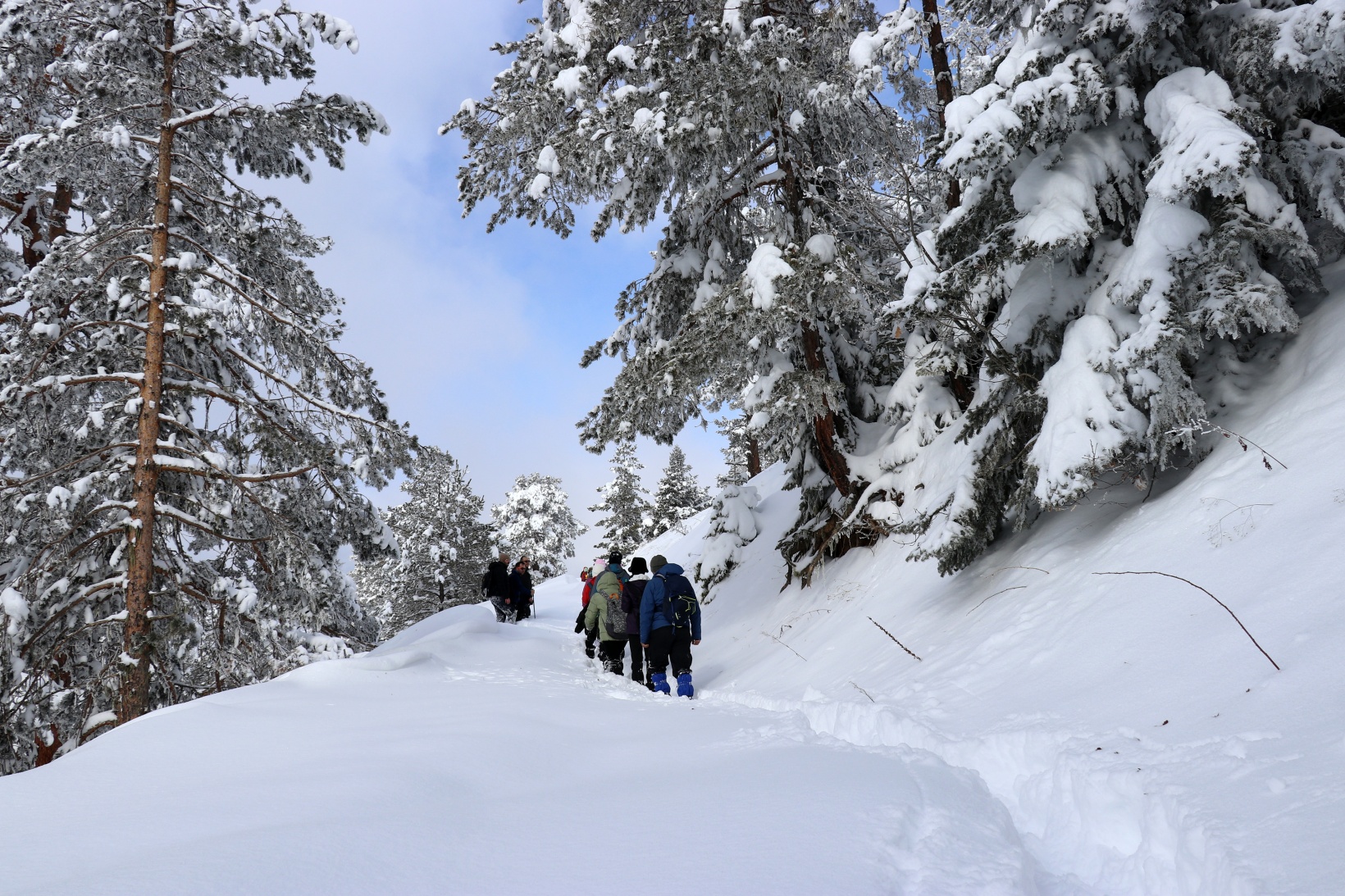 Gümüşhane'nin zirvelerinde kutupları aratmayan yürüyüş 32