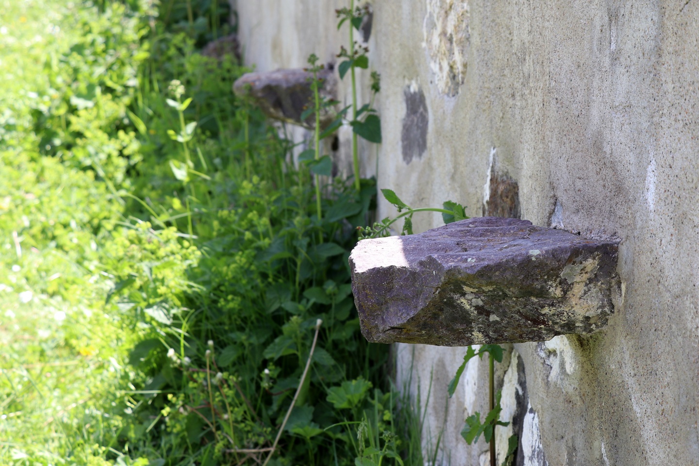 Bu caminin ne kubbesi ne çatısı var 25