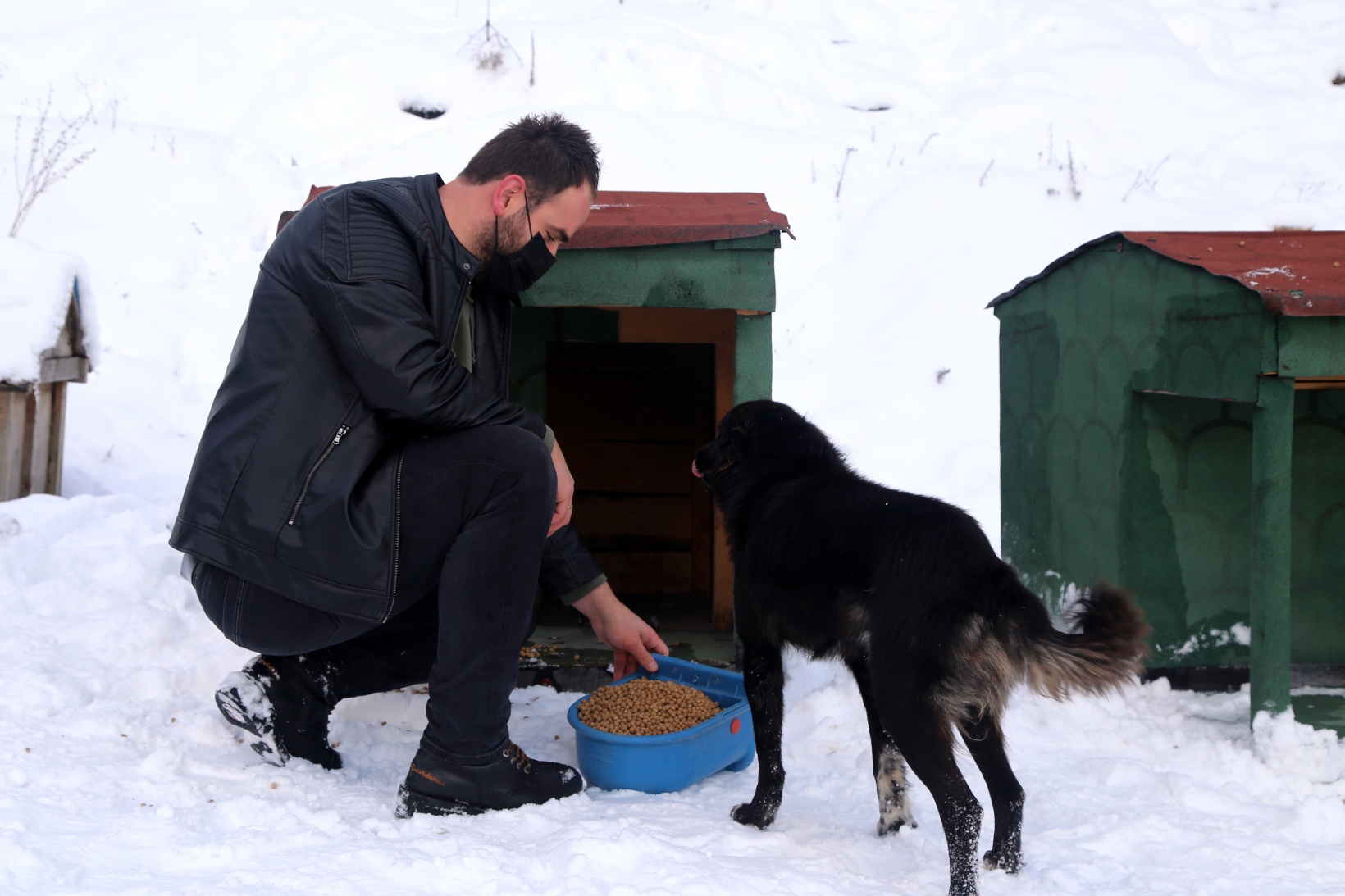 Gümüşhane’de sokak hayvanlarına şefkat eli 1