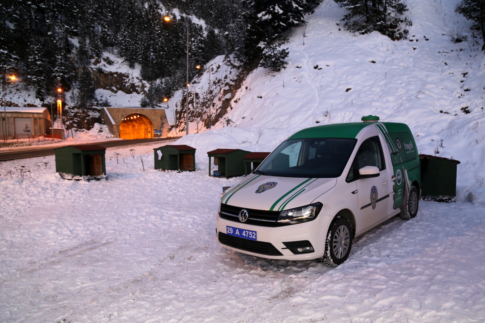 Gümüşhane’de sokak hayvanlarına şefkat eli 4