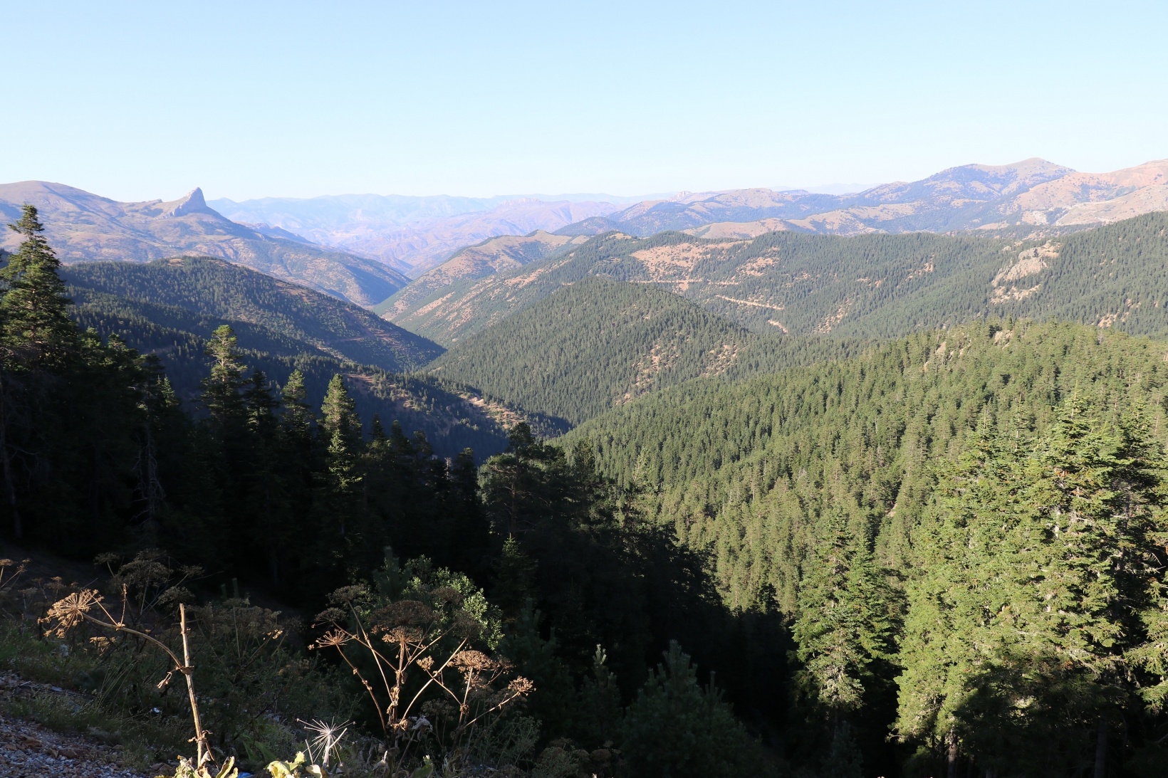 Tersun Tüneli talebi Tersun Dağı geçidinden yankılandı 14