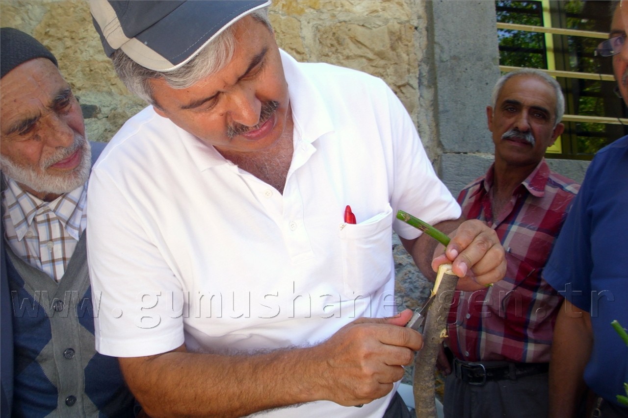 Yeşildere Köyünde Ceviz Kursu Verildi 5