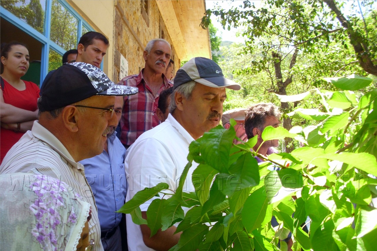 Yeşildere Köyünde Ceviz Kursu Verildi 10