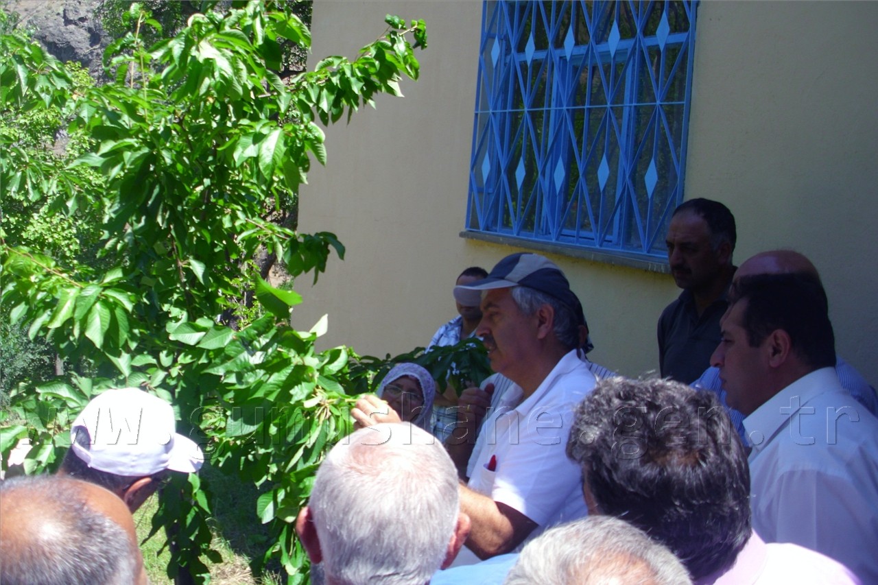 Yeşildere Köyünde Ceviz Kursu Verildi 11