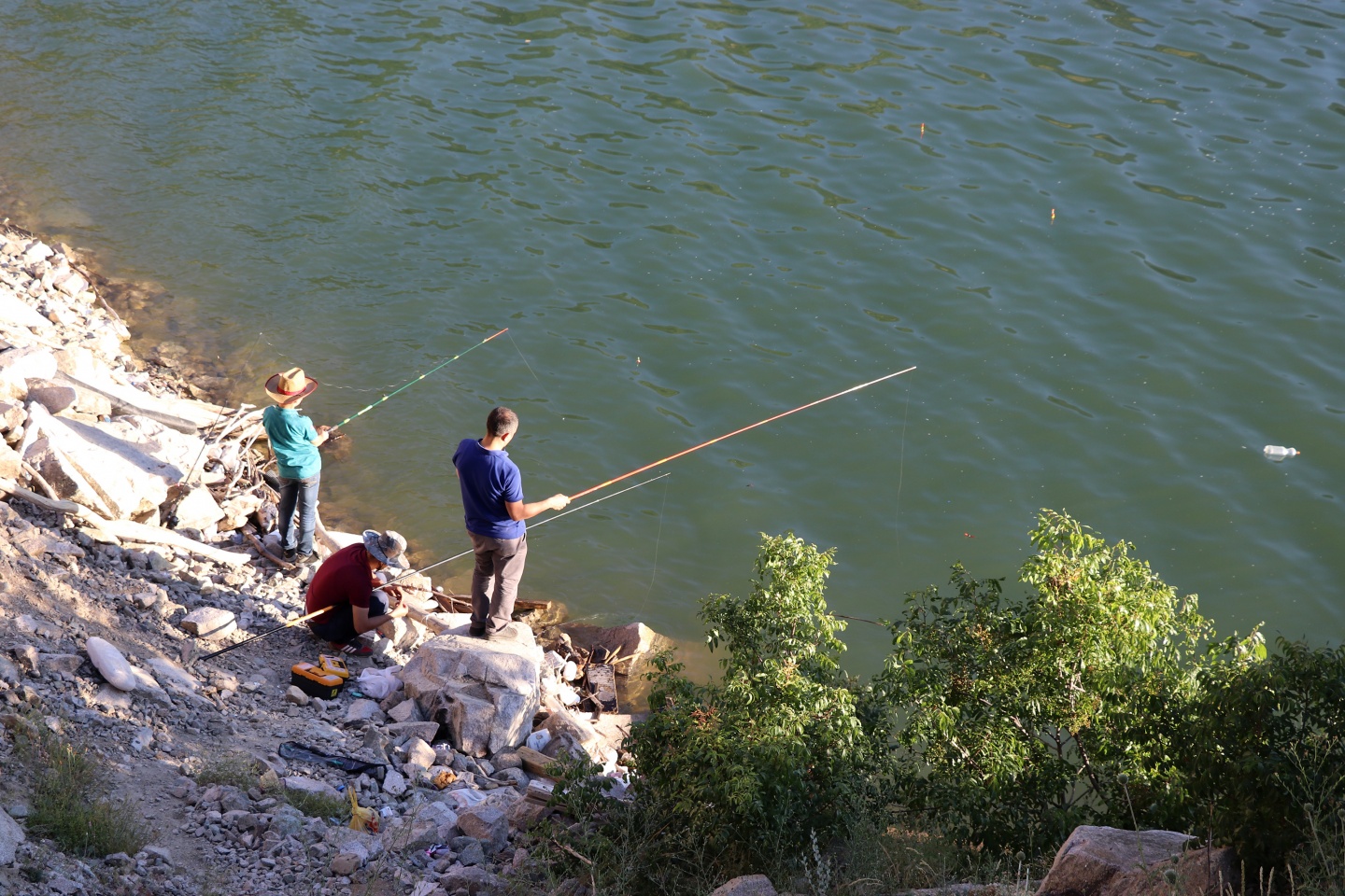 Oltasını alan Torul ve Kürtün Barajlarını dolduruyor 1