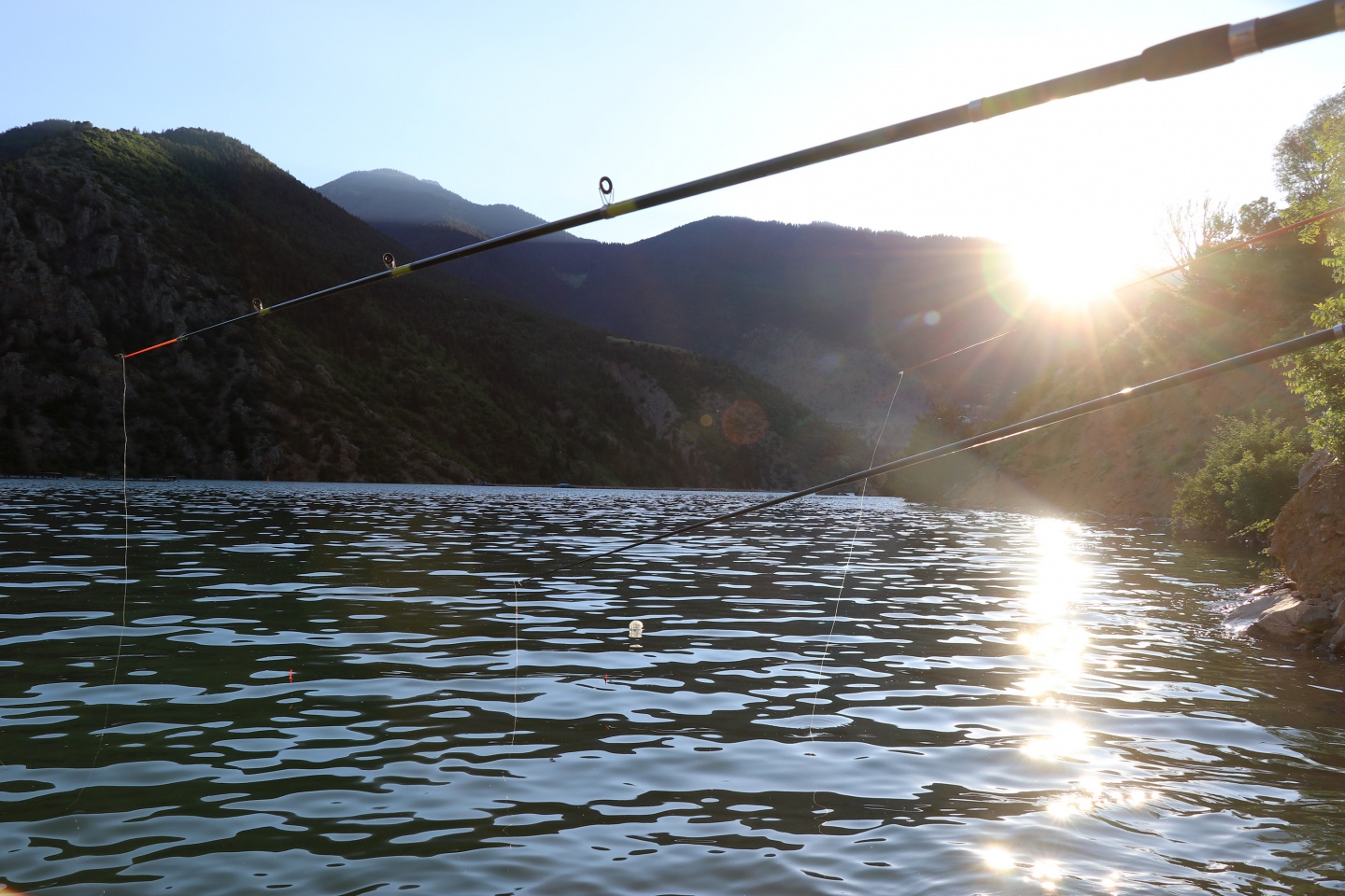 Oltasını alan Torul ve Kürtün Barajlarını dolduruyor 2