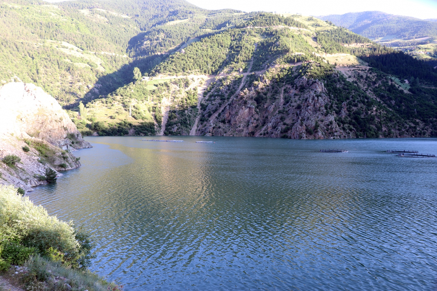 Oltasını alan Torul ve Kürtün Barajlarını dolduruyor 6
