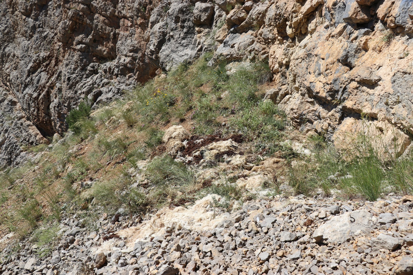 Gümüşhane’de esrarengiz olay 8